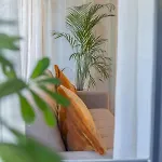 Casa vacanze Lakeside Hideaway - Lakefront & Lecco